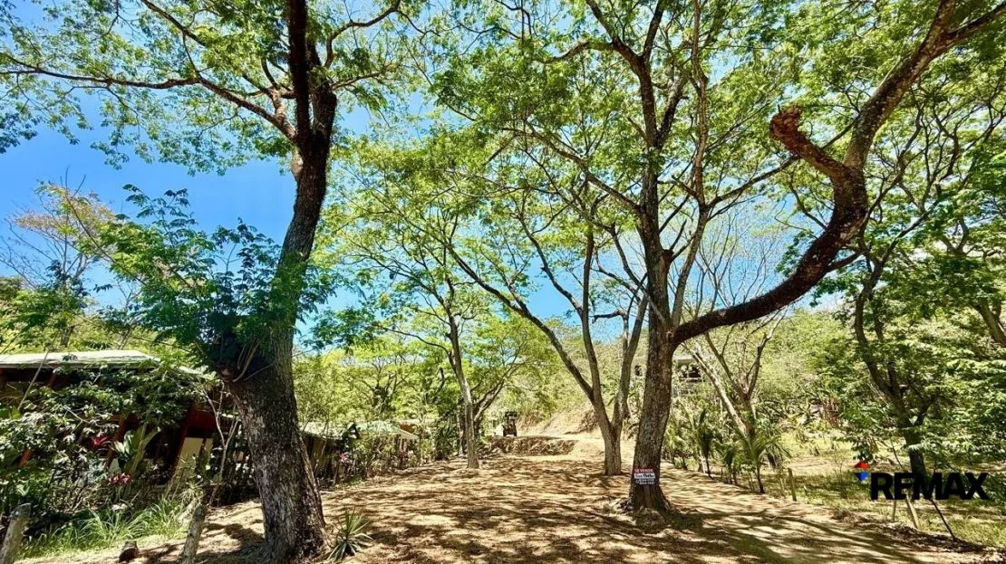 Large Ready-to-Build Lot in Jaco