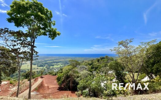 Garabito Central Pacific Costa Rica>Hermosa Beach  76065 | Dominique Brousseau Jaco Costa Rica Real Estate Agent