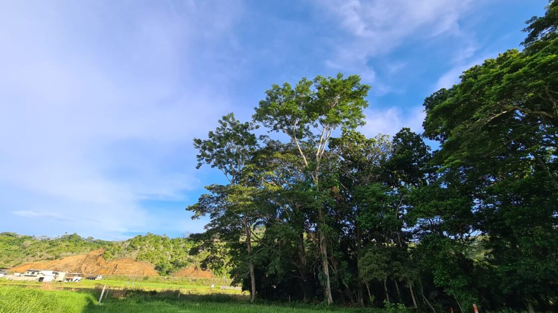 Garabito Central Pacific Costa Rica>Jaco For Sale 73417 | Dominique Brousseau Jaco Costa Rica Real Estate Agent