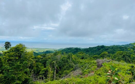 BEAUTIFUL LAND OCEAN VIEW