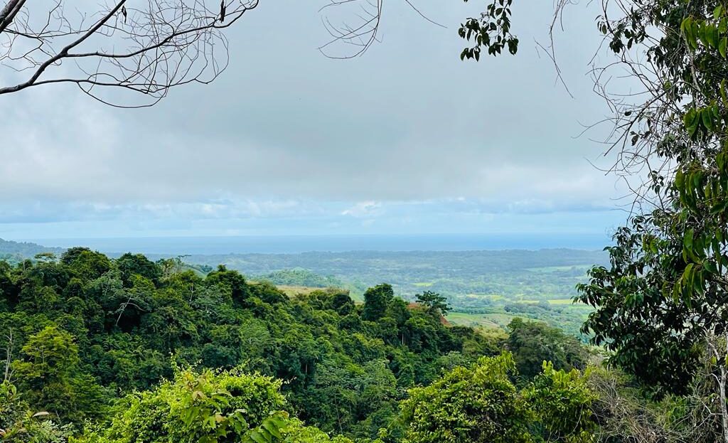 Garabito Central Pacific Costa Rica>Hermosa Beach For Sale 59084 | Dominique Brousseau Jaco Costa Rica Real Estate Agent