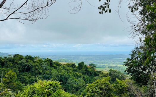 BEAUTIFUL LAND OCEAN VIEW