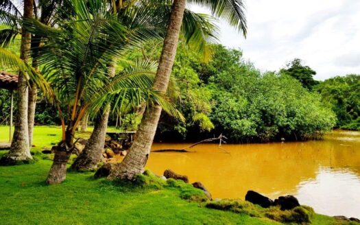 Jaco Beach large river lot by the shore