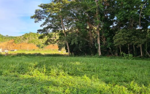 Lot Ready To Build 966 Square Meter in  Jaco