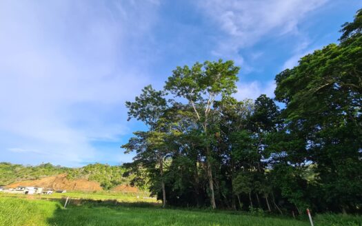 Lot Ready To Build 966 Square Meter in  Jaco