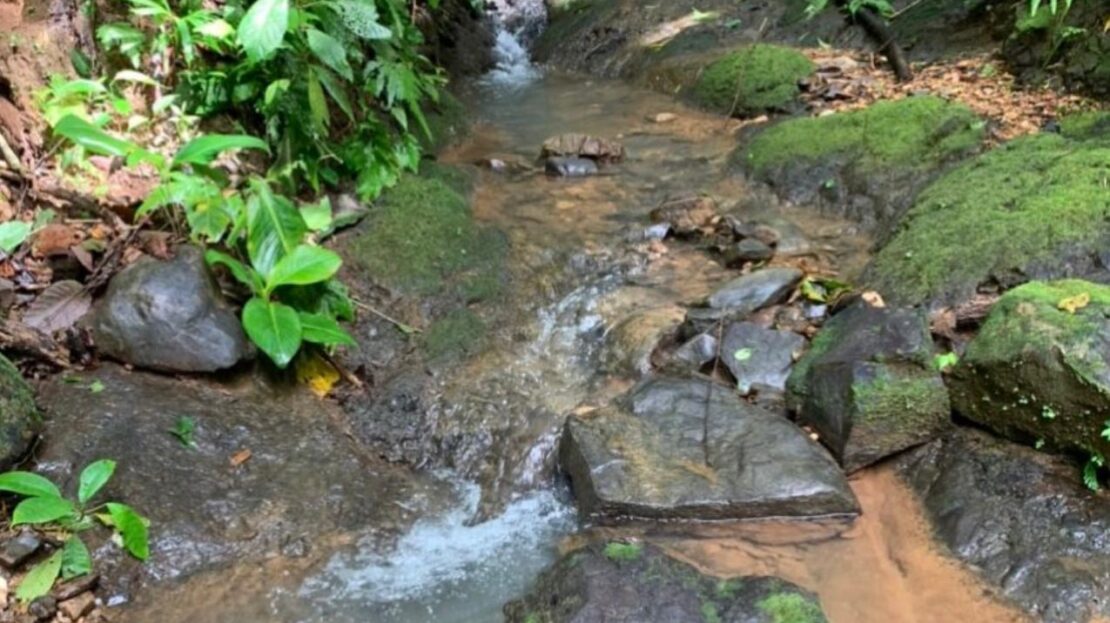 Tárcoles>Bijagual  86213 | Dominique Brousseau Jaco Costa Rica Real Estate Agent