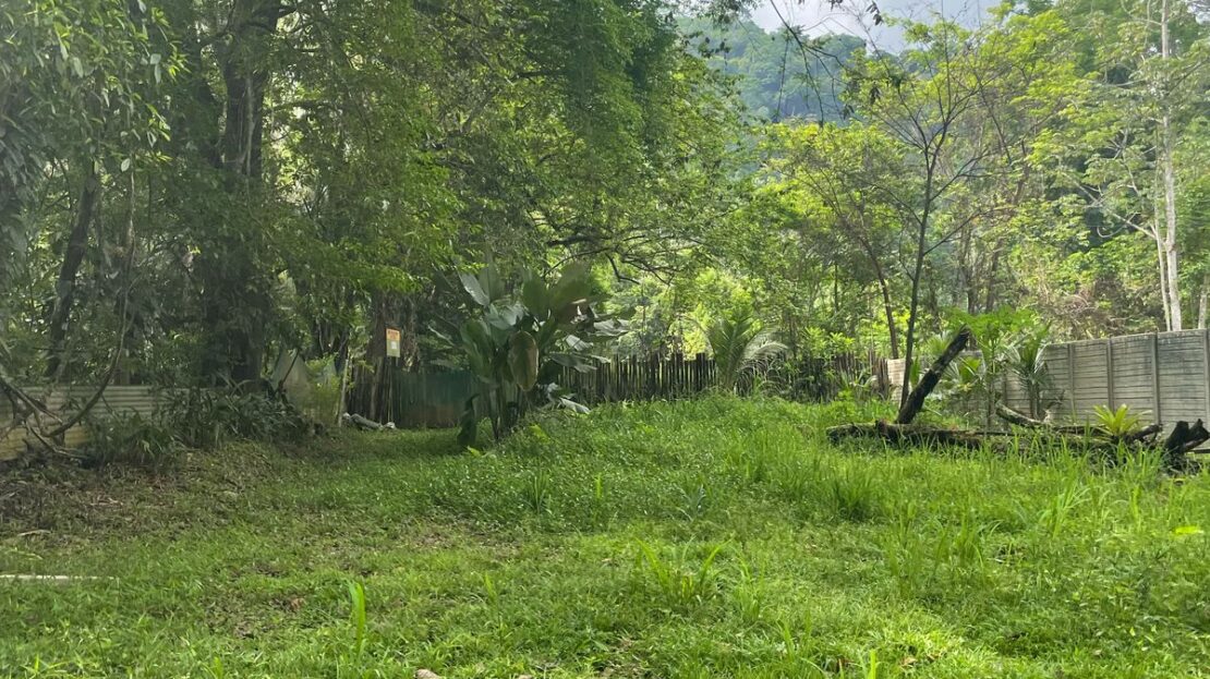 Garabito Central Pacific Costa Rica>Jaco For Sale 94042 | Dominique Brousseau Jaco Costa Rica Real Estate Agent