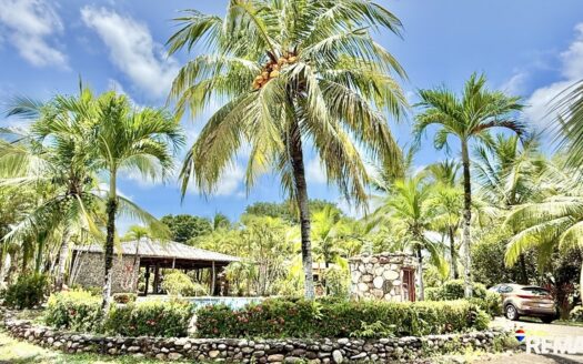 Modern Jungle Retreat