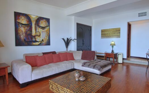 Ocean View Del Pacifico condo