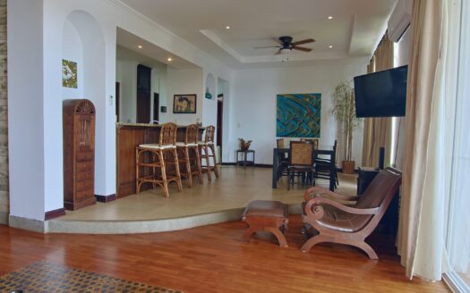 Ocean View Del Pacifico condo