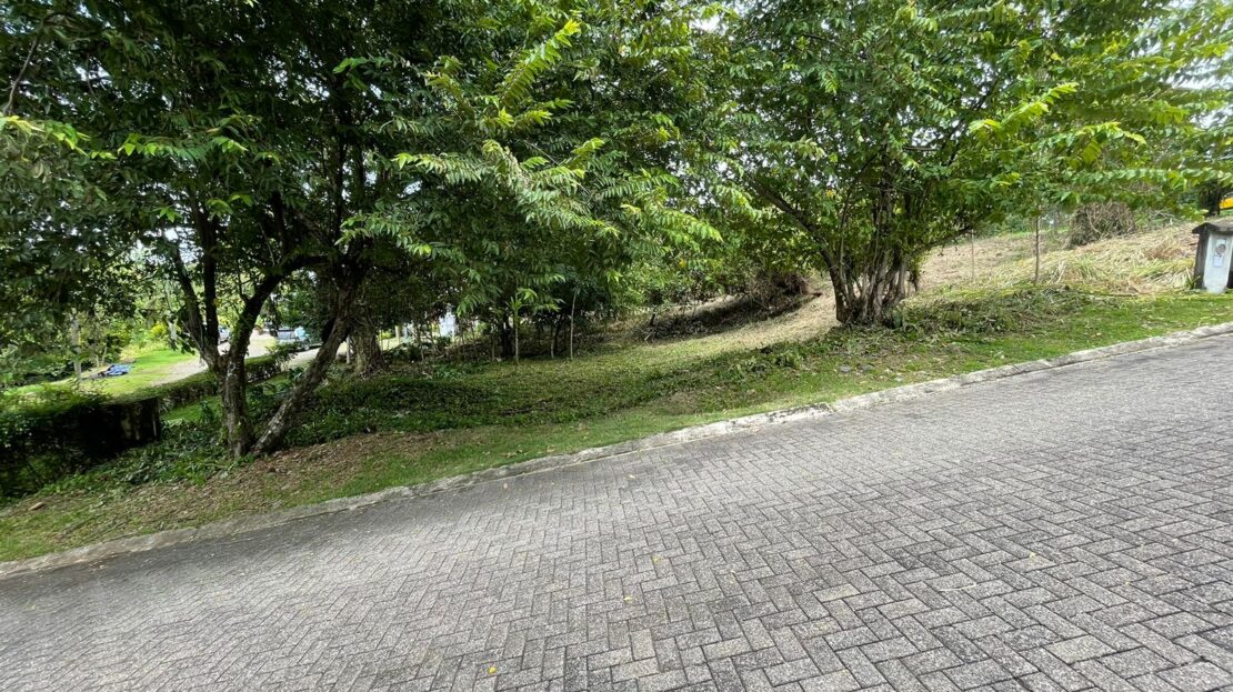 Parrita>Esterillos For Sale 102598 | Dominique Brousseau Jaco Costa Rica Real Estate Agent