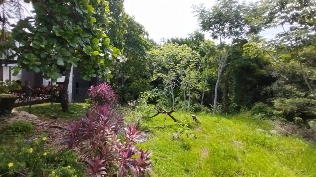 all For Sale 101900 | Dominique Brousseau Jaco Costa Rica Real Estate Agent