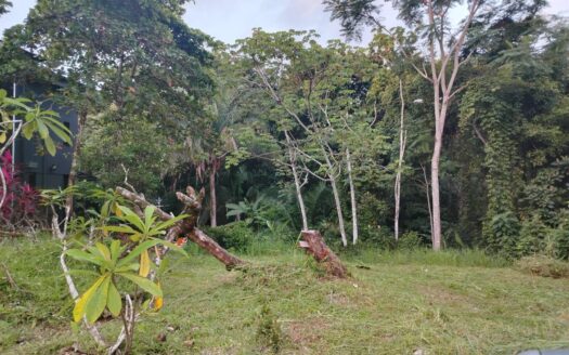 Great  Opportunity 2300 Square Meters Lot- Near the Beach and Costa Esterillos