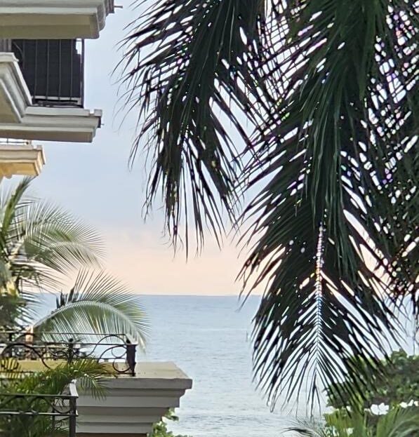 all For Sale 103242 | Dominique Brousseau Jaco Costa Rica Real Estate Agent