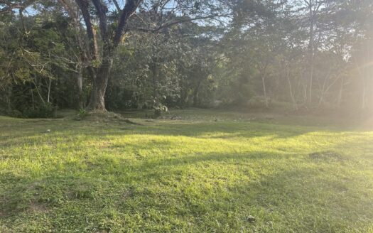 Dream river opportunity