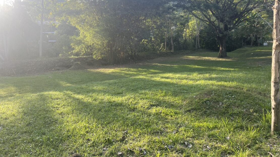 all  104348 | Dominique Brousseau Jaco Costa Rica Real Estate Agent