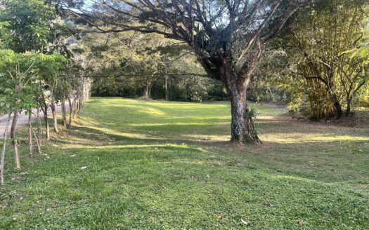 Dream river opportunity