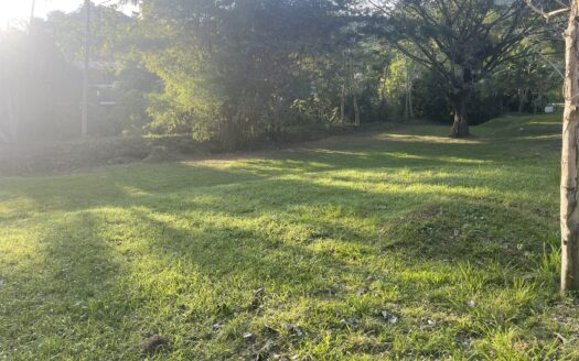 Dream river opportunity