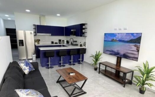 Unique condo with commercial space