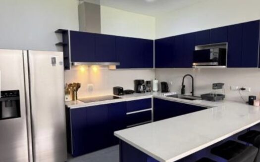 Unique condo with commercial space