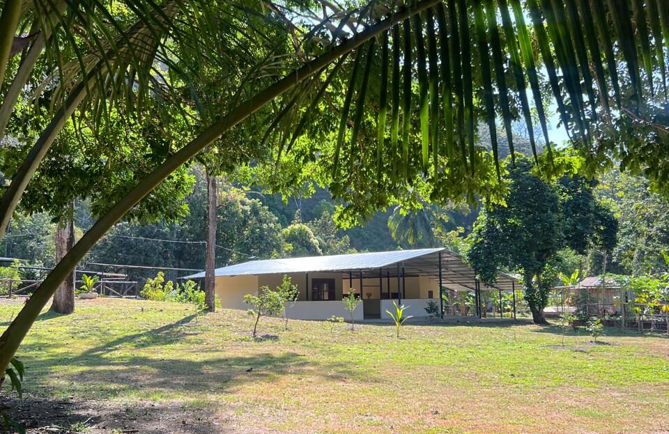 Garabito Central Pacific Costa Rica>Hermosa Beach>Quebrada Amarilla For Sale 107139 | Dominique Brousseau Jaco Costa Rica Real Estate Agent