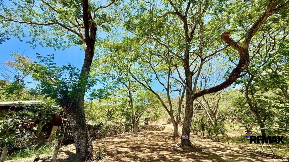 Garabito Central Pacific Costa Rica>Jaco  107021 | Dominique Brousseau Jaco Costa Rica Real Estate Agent