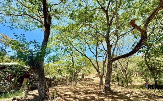 Large Ready-to-Build Lot in Jaco