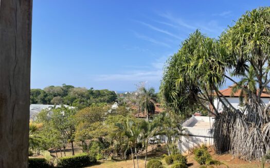 Remodeled ocean view Del Pacifico Condo