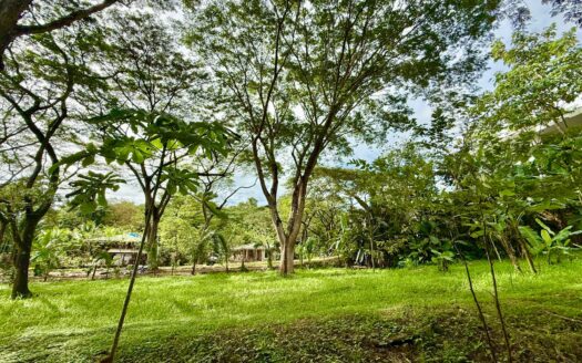 Jungle Haven Lot in Jaco