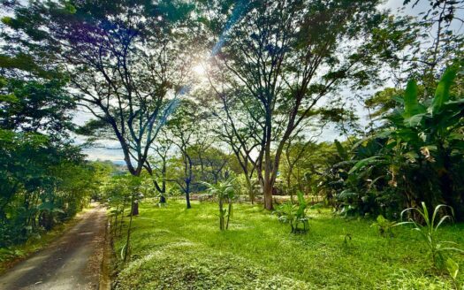 Jungle Haven Lot in Jaco