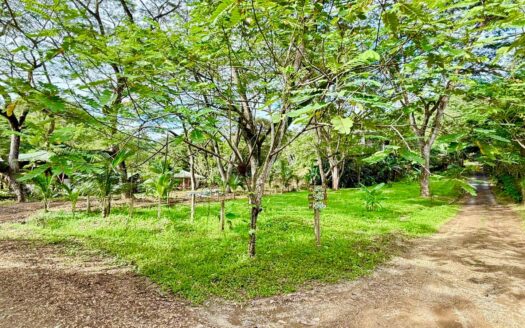 Jungle Haven Lot in Jaco