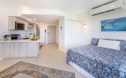 Unique Loft In Pacific Point Ocean View
