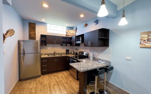 Paradise Condo turn key