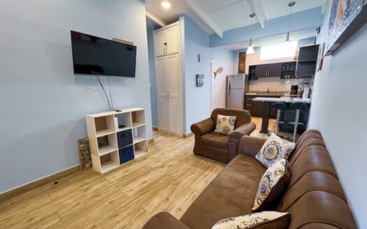 Paradise Condo turn key